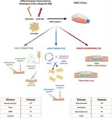 Current Advanced Therapies Based on Human Mesenchymal Stem Cells for Skin Diseases